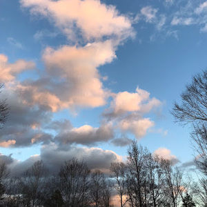 Meet your Posher, Jadyn